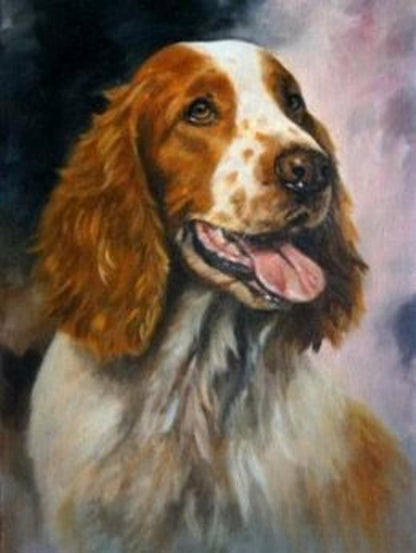 Brittany Spaniel Dog | Diamond Painting