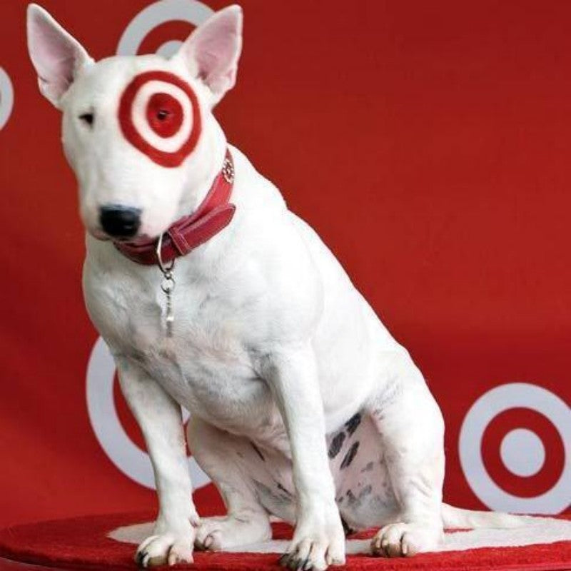 English Bull Terrier Dog | Diamond Painting