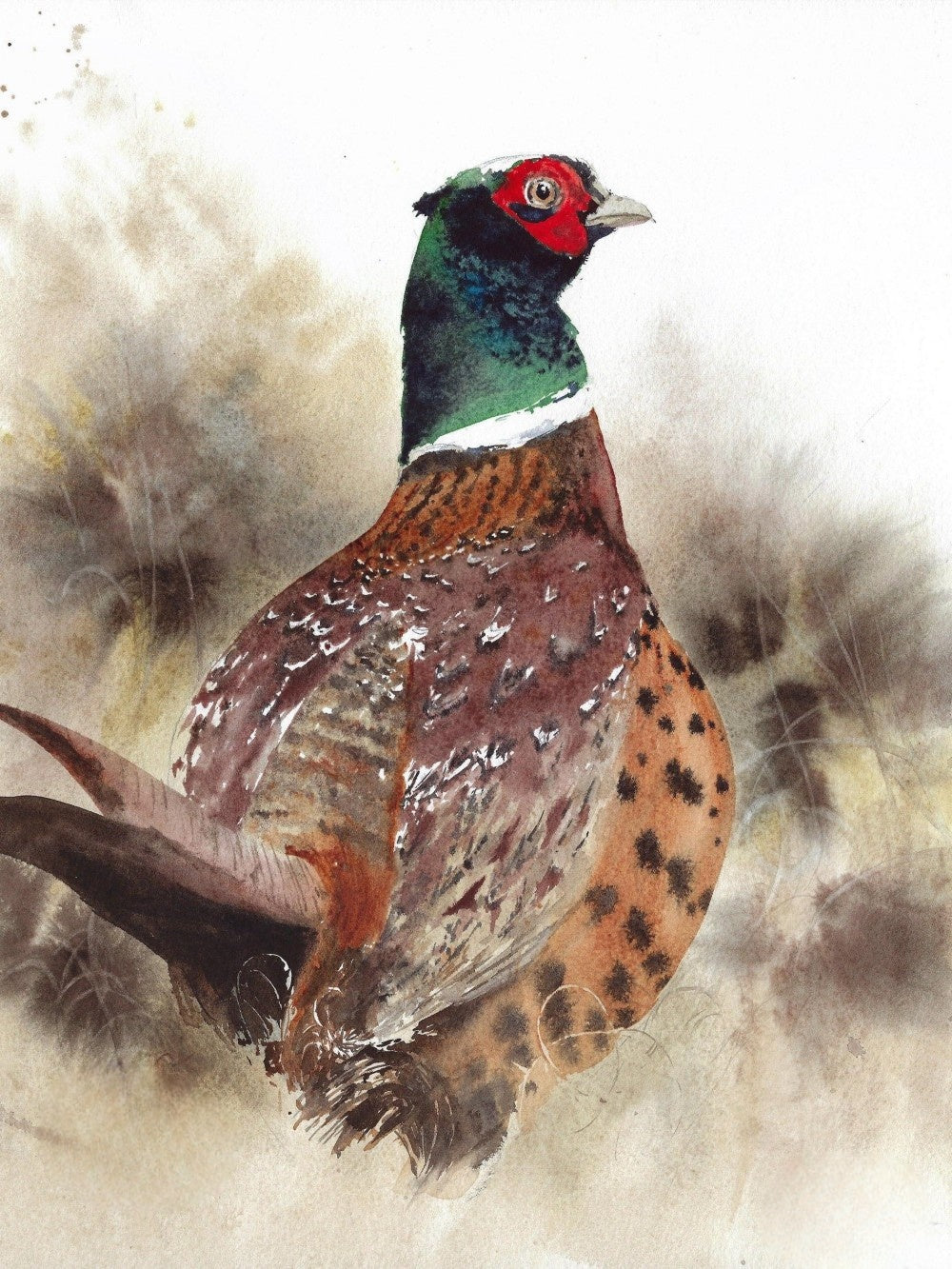 Pheasant | Diamond Painting