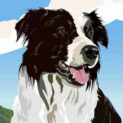 Dog Border Collie | Diamond Painting