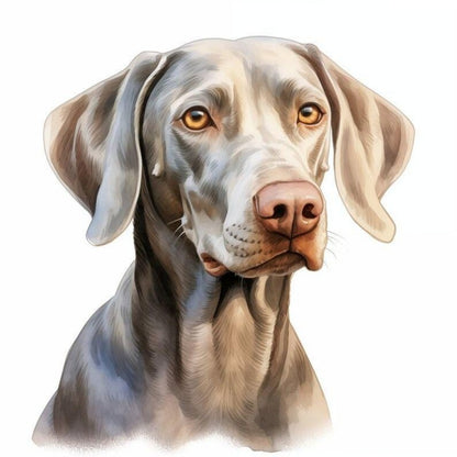 Weimaraner Dog | Diamond Painting