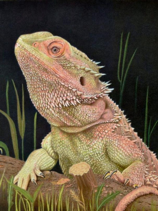Bearded Dragon | Diamond Painting