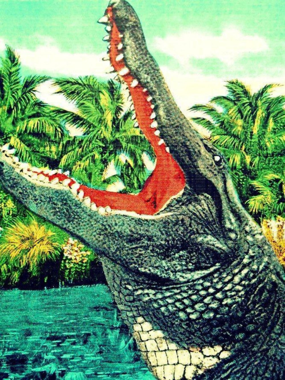 Alligator | Diamond Painting