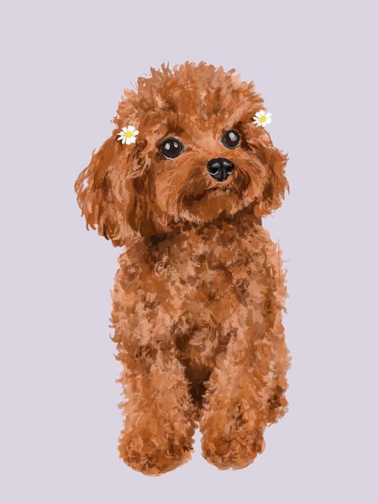 Poodle Dog | Diamond Painting
