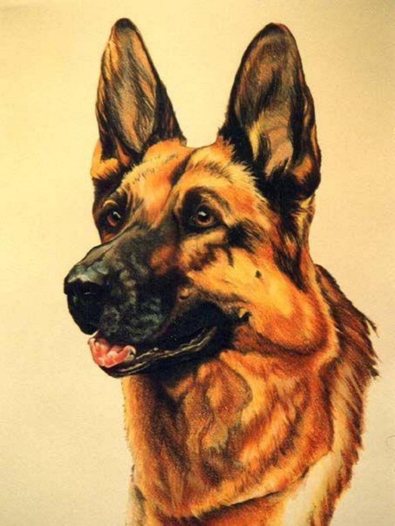 Dog German Shepherd | Diamond Painting