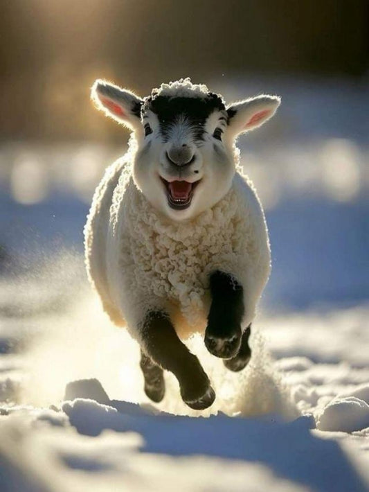 Sheep | Diamond Painting