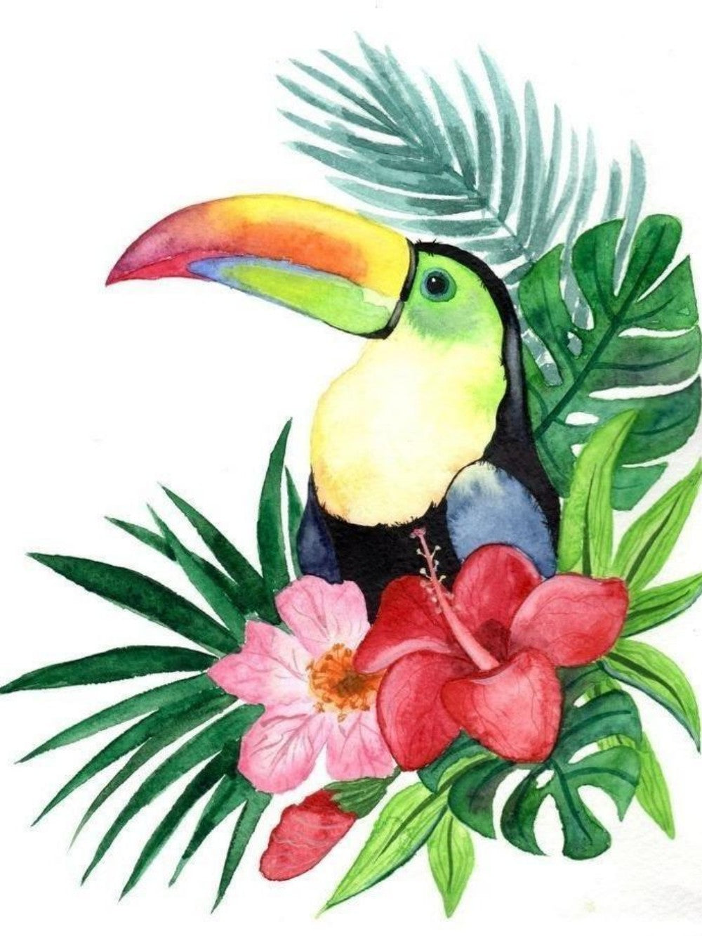 Toucan Bird | Diamond Painting