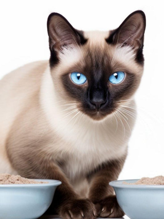 Siamese Cat | Diamond Painting