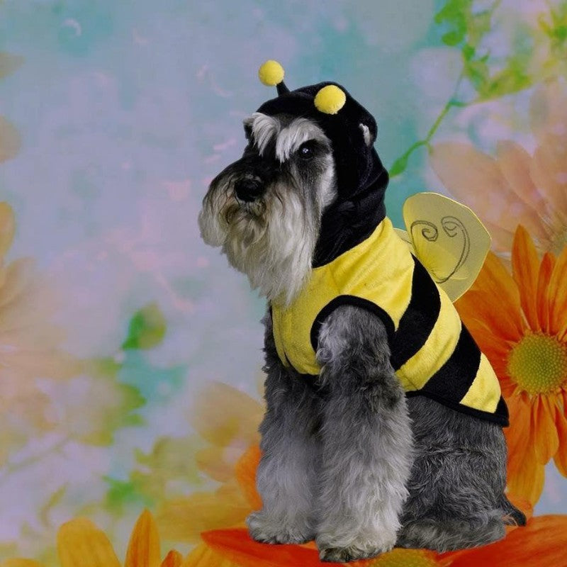 Dog Schnauzer | Diamond Painting