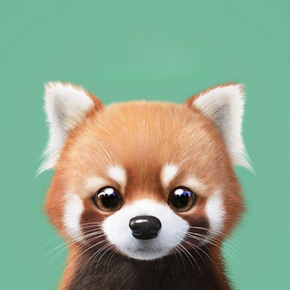 Red Panda | Diamond Painting