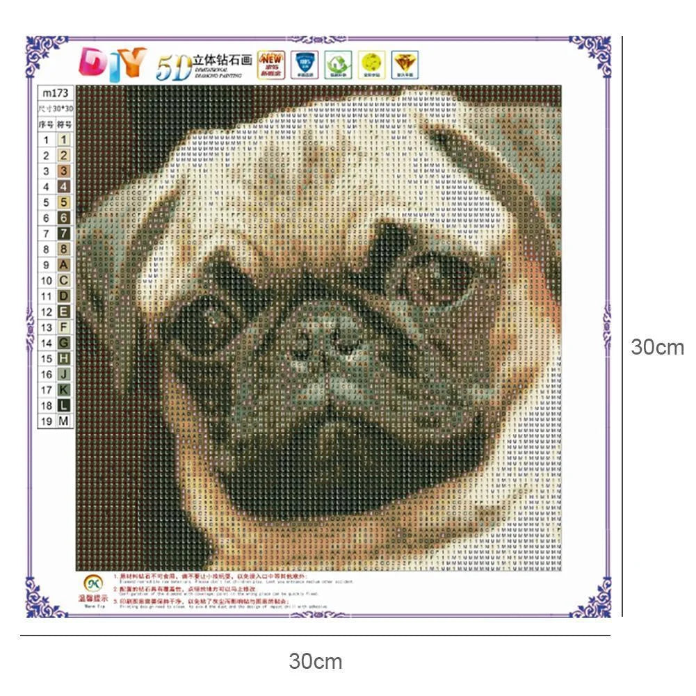 Angry Dog Pug | Diamond Painting