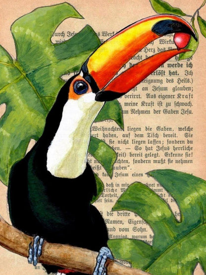 Toucan Bird | Diamond Painting