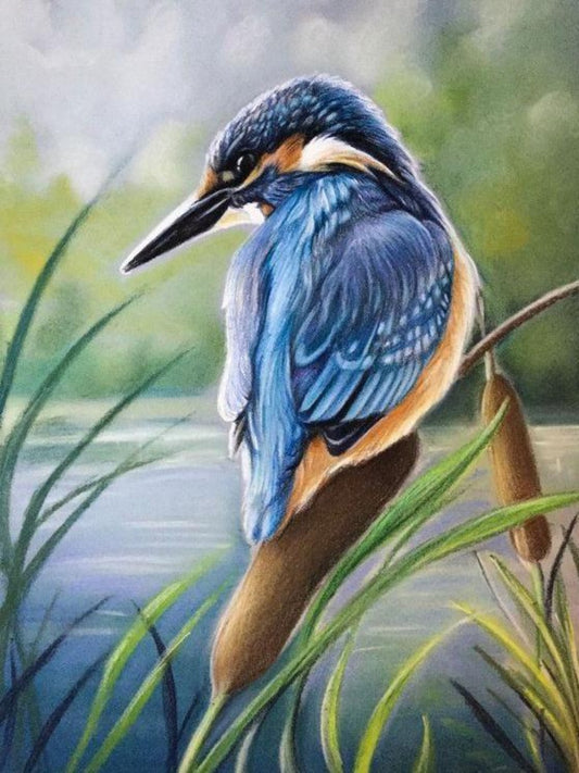 Kingfisher | Diamond Painting