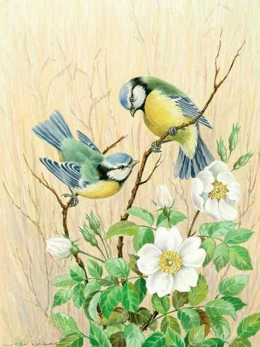 Birds and Flowers | Diamond Painting