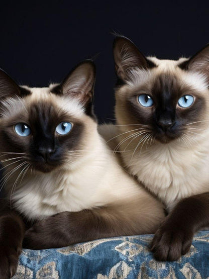 Siamese Cat | Diamond Painting