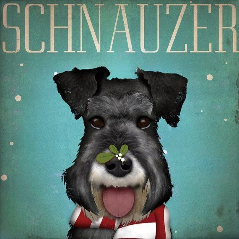 Dog Schnauzer | Diamond Painting