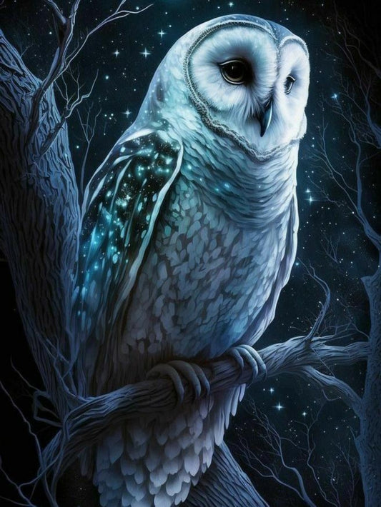 Barn Owl | Diamond Painting