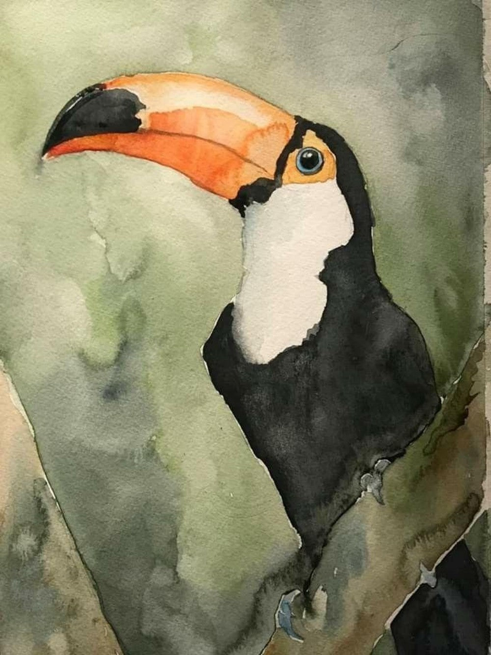 Toucan Bird | Diamond Painting