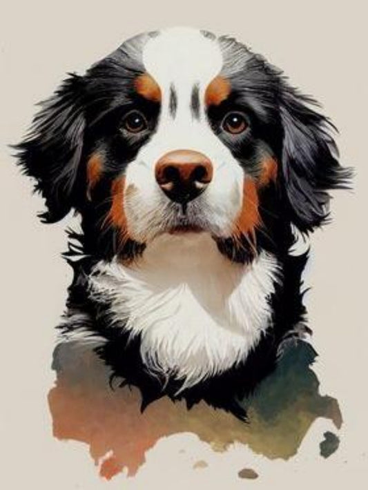 Bernese Mountain Dog | Diamond Painting
