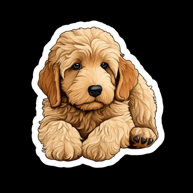 Labradoodle Dog | Diamond Painting