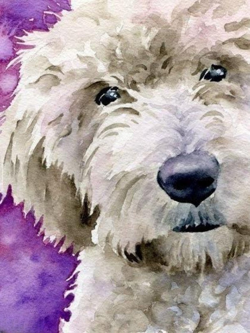 Goldendoodle Dog | Diamond Painting