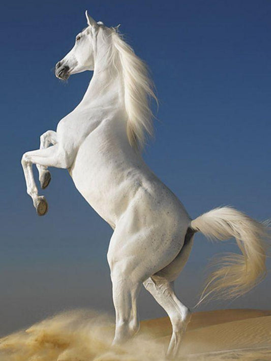 Horse | Diamond Painting