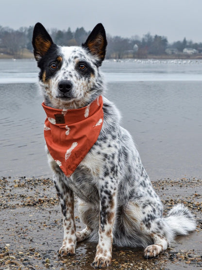 Cattle Dog (Blue Heeler) | Diamond Painting