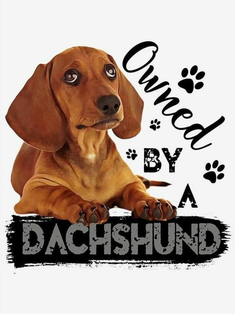 Dachshund Dog | Diamond Painting
