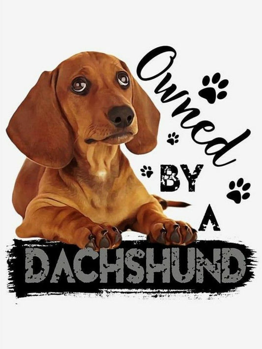 Dachshund Dog | Diamond Painting