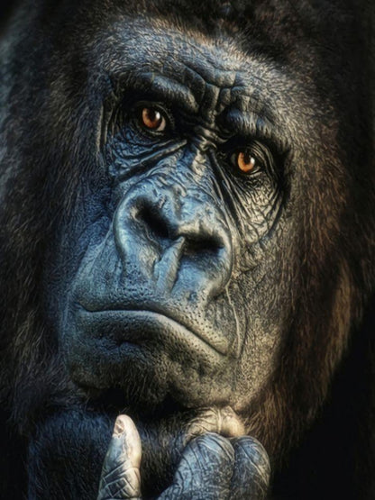 Gorilla | Diamond Painting