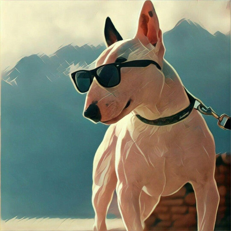 English Bull Terrier Dog | Diamond Painting