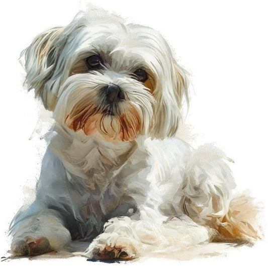 Havanese Dog | Diamond Painting