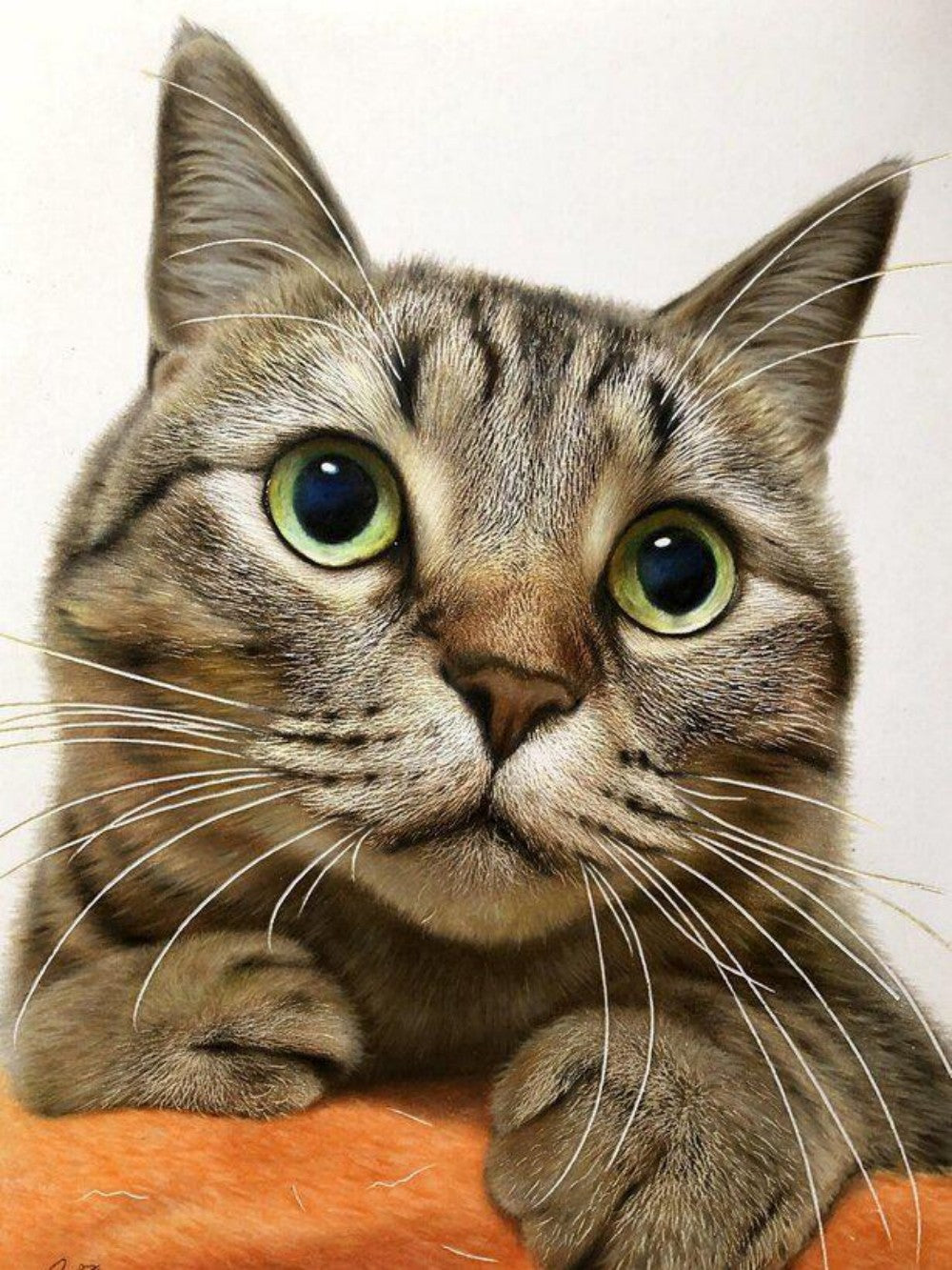 Tabby Cat | Diamond Painting