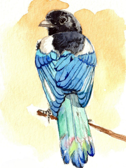 Magpie | Diamond Painting