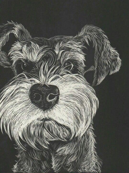 Dog Schnauzer | Diamond Painting