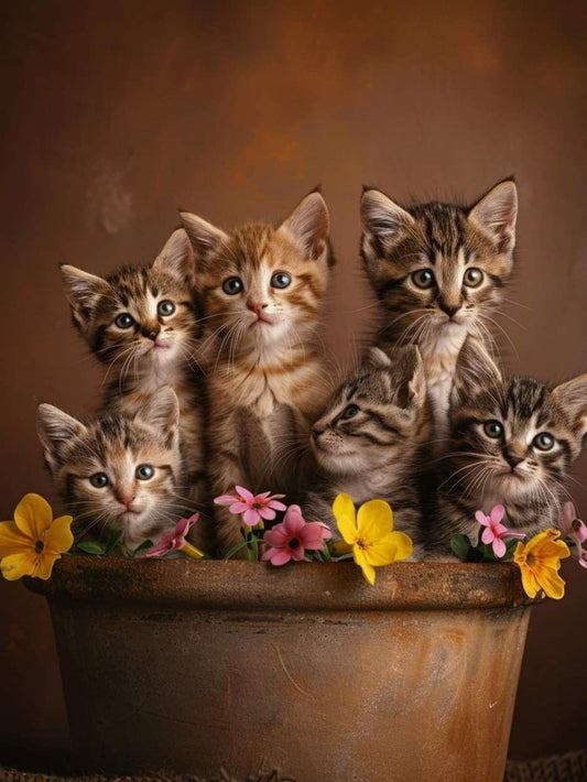 Abyssinian Cat | Diamond Painting