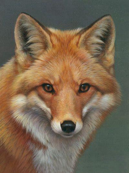 Fox | Diamond Painting