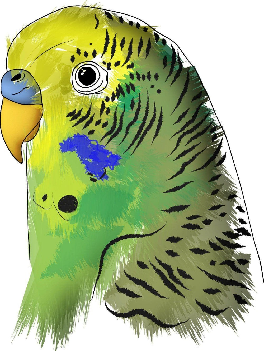 Budgie | Diamond Painting