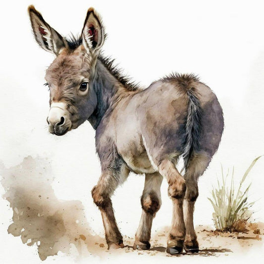 Donkey | Diamond Painting