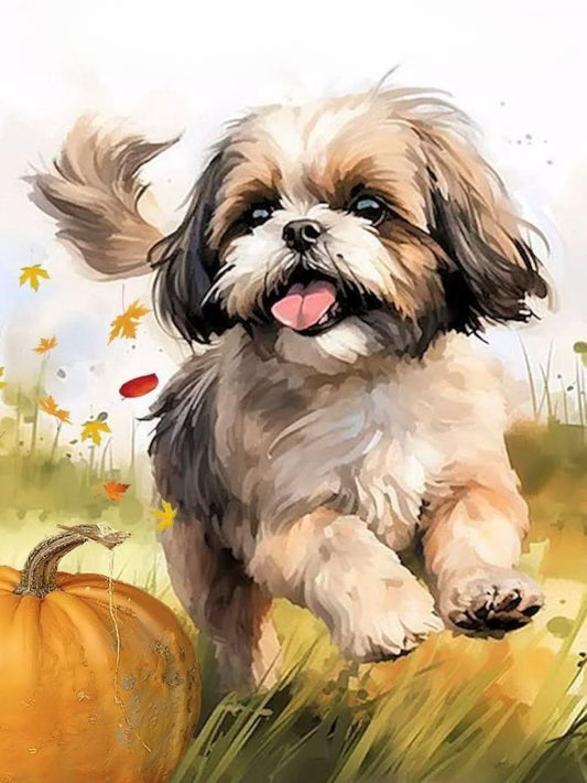 Dog Shih Tzu | Diamond Painting