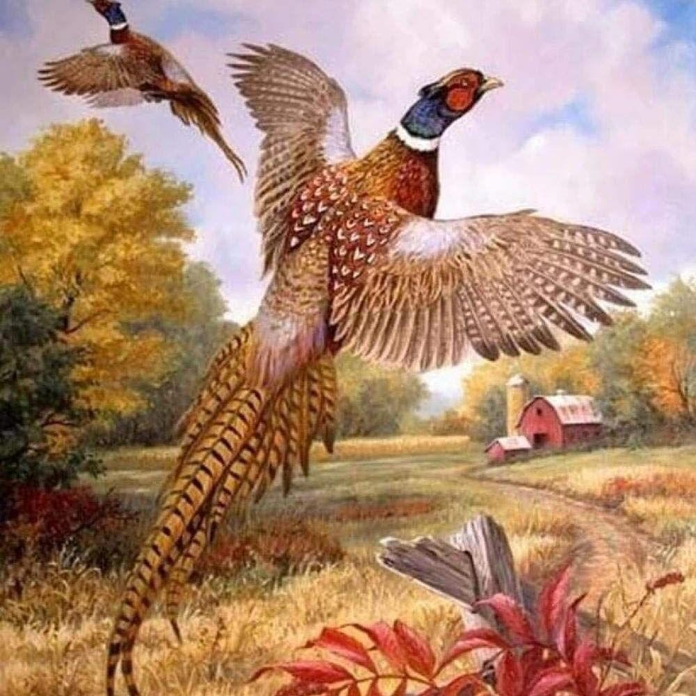 Pheasant | Diamond Painting