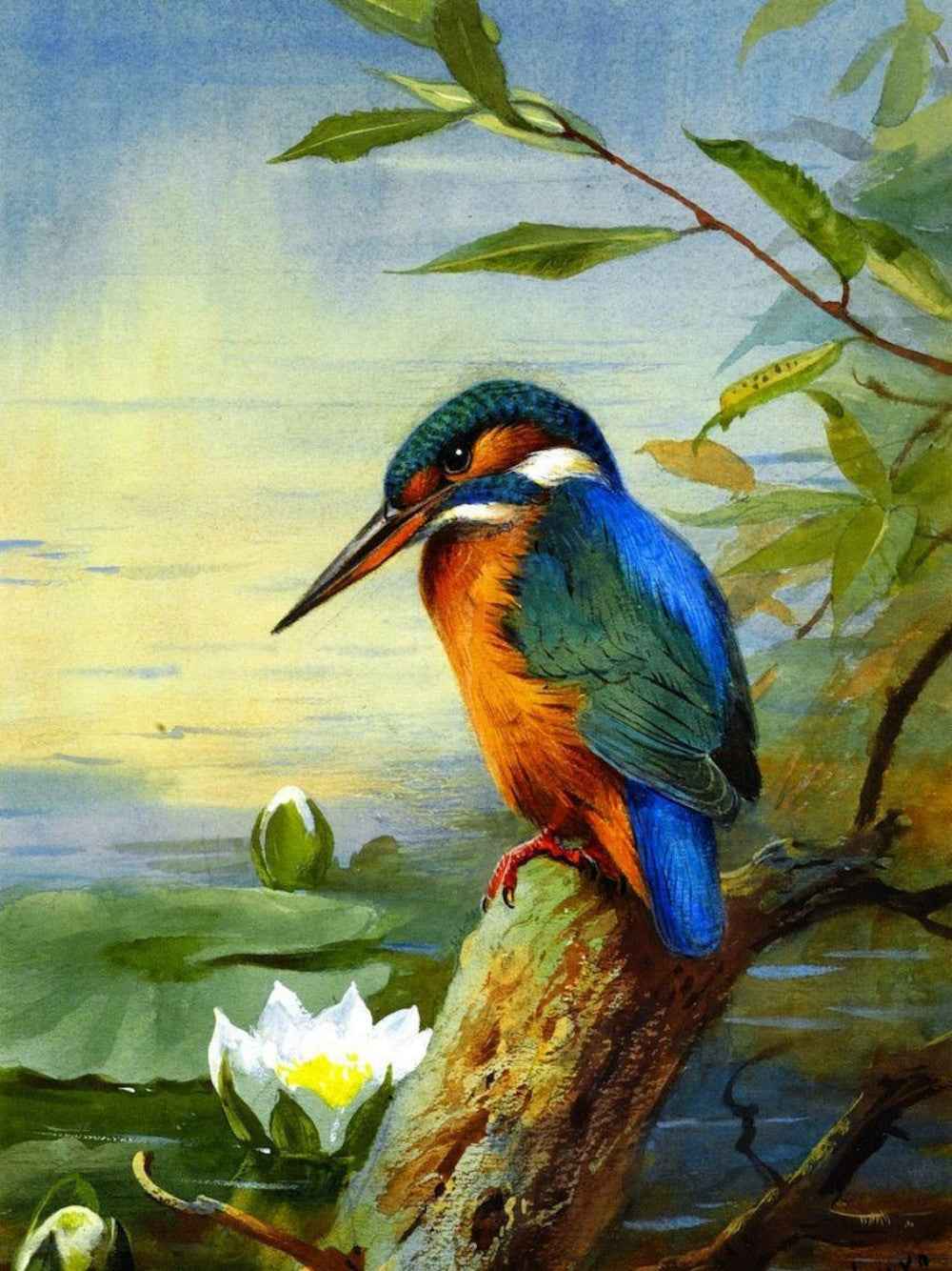 Kingfisher | Diamond Painting