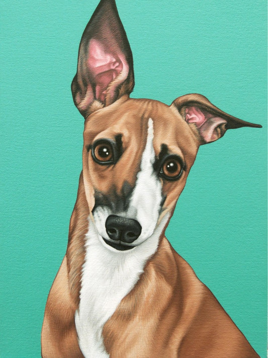 Greyhound Dog | Diamond Painting