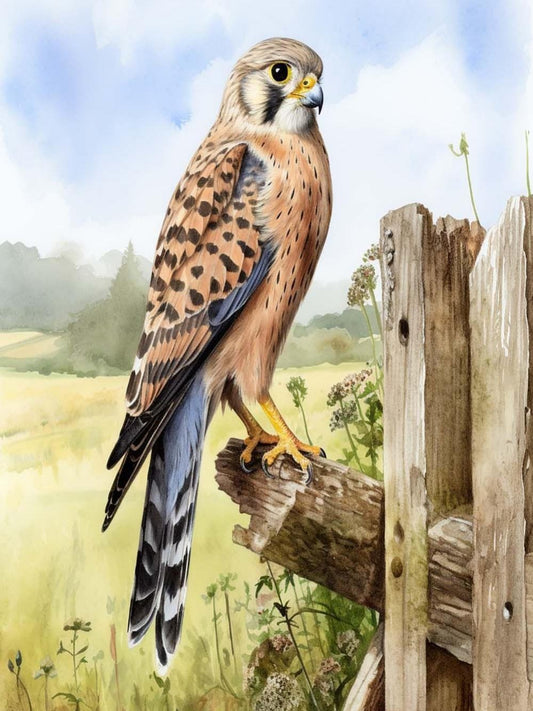 Falcon | Diamond Painting