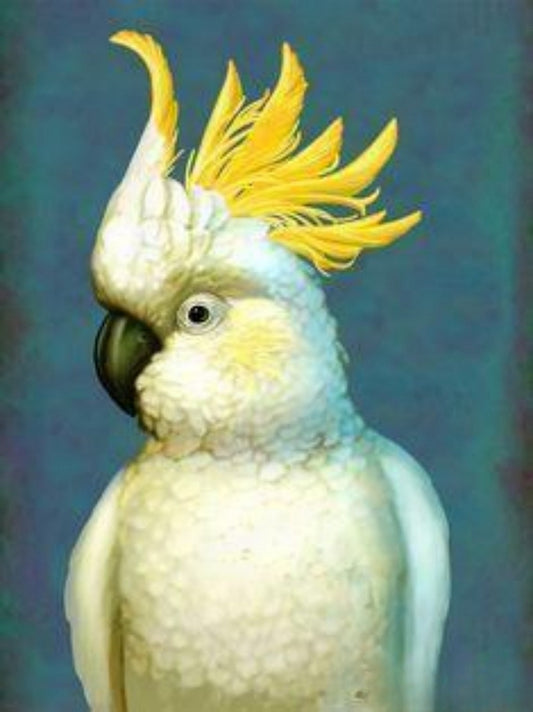 Cockatoo | Diamond Painting