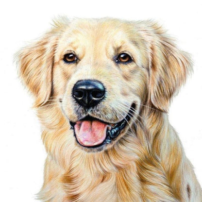 Yellow Labrador Dog | Diamond Painting