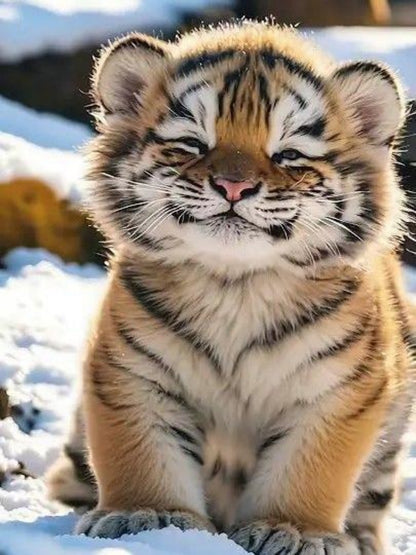 Bengal Tiger | Diamond Painting