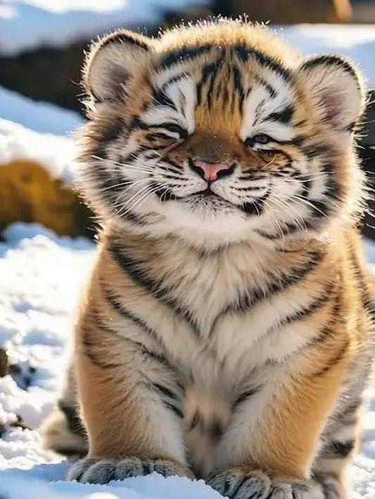 Bengal Tiger | Diamond Painting