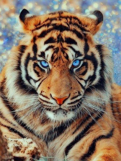 Bengal Tiger | Diamond Painting