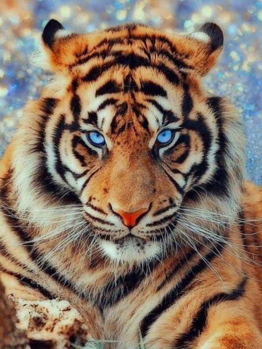 Bengal Tiger | Diamond Painting